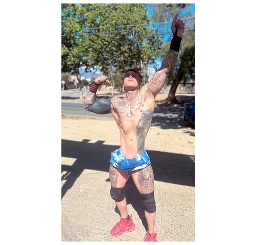 vedettos rancagua. vedettos san fernando, vedettos pichilemu, vedettos san vicente, vedettos las cabras