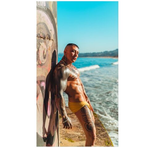 vedettos rancagua. vedettos san fernando, vedettos pichilemu, vedettos san vicente, vedettos las cabras