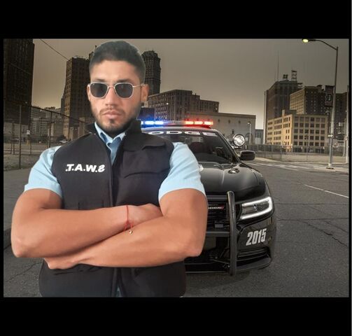 gael vedetto talca, curico, molina, linares, san javier, parral. constitucion cauquenes, licanten, teno